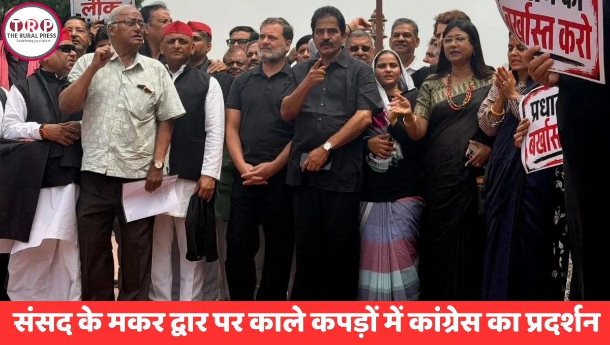 संसद के मकर द्वार पर नीट पेपर लीक के विरोध में काले कपड़े पहनकर प्रदर्शन करते विपक्षी सांसद