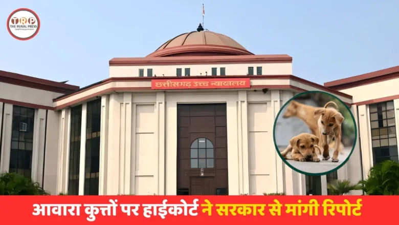 Chhattisgarh High Court hearing on stray dog attacks, rabies prevention and stray cattle management