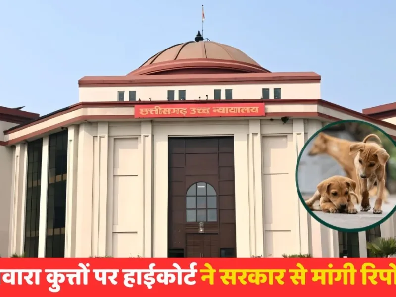 Chhattisgarh High Court hearing on stray dog attacks, rabies prevention and stray cattle management