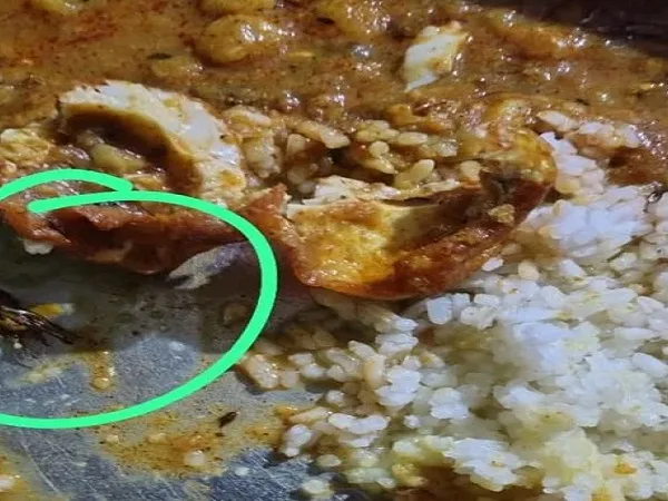 Eklavya School Korba: खाने में मिला कीड़ा, नाराज छात्रों ने विधायक की गाड़ी घेरी