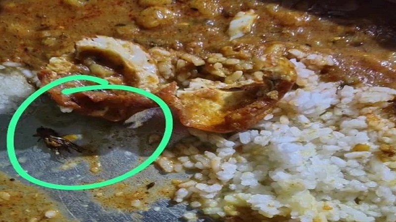 Eklavya School Korba: खाने में मिला कीड़ा, नाराज छात्रों ने विधायक की गाड़ी घेरी