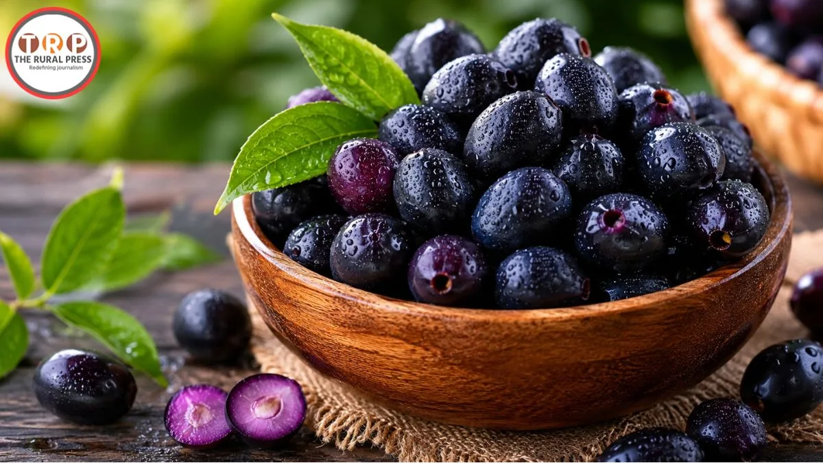 Fresh Jamun fruits offering health benefits for diabetes and digestion.