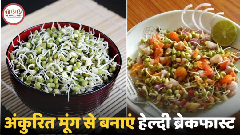 A bowl of fresh green moong sprouts with lemon and cucumber for a healthy breakfast
