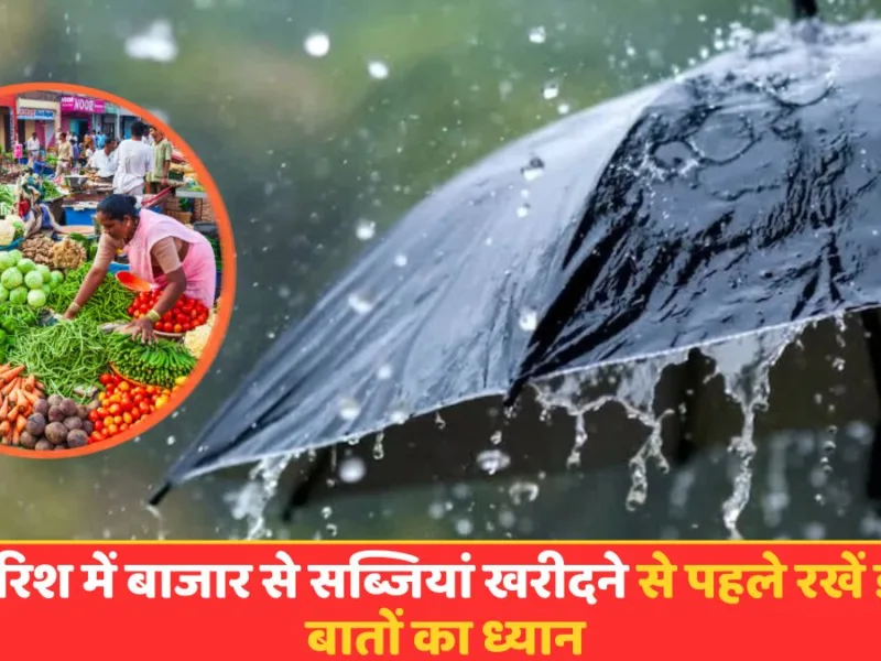 बारिश के मौसम में ताजी और सुरक्षित सब्जियां चुनती हुई महिला, किचन का दृश्य।