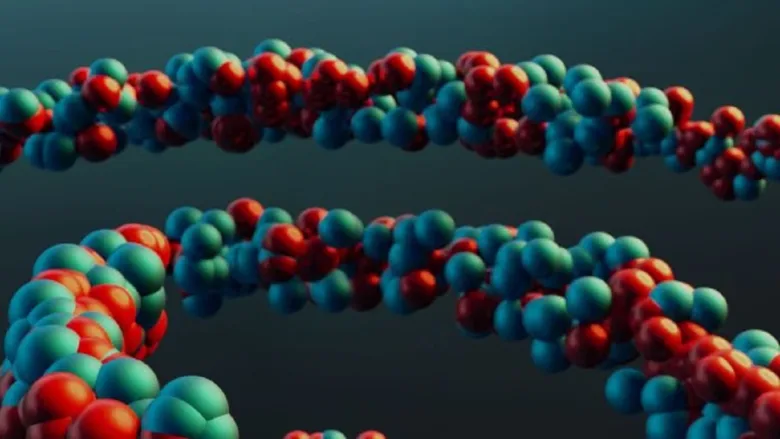 DNA structure representing human lifespan and ageing research