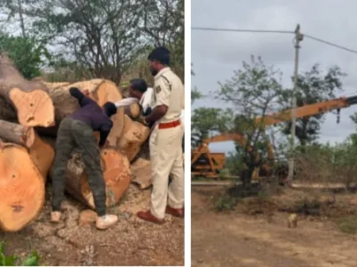 पेड़ों की अवैध कटाई के लिए वन विभाग के नकली सील का इस्तेमाल..! एमपी ले जाने के लिए रखी गई लकड़ियों सहित ट्रक और क्रेन जब्त