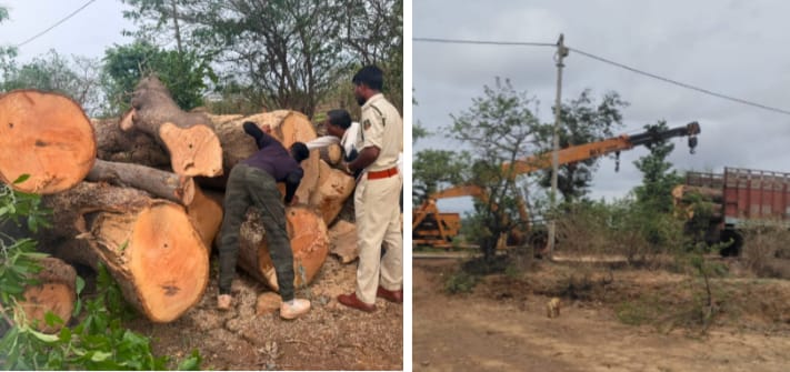 पेड़ों की अवैध कटाई के लिए वन विभाग के नकली सील का इस्तेमाल..! एमपी ले जाने के लिए रखी गई लकड़ियों सहित ट्रक और क्रेन जब्त
