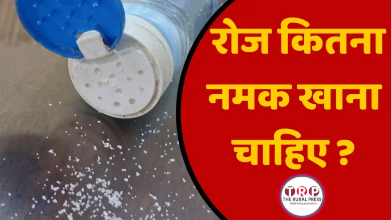 प्लेट में रखे प्राकृतिक भोजन के साथ नमक का सीमित प्रयोग और स्वास्थ्य देखभाल