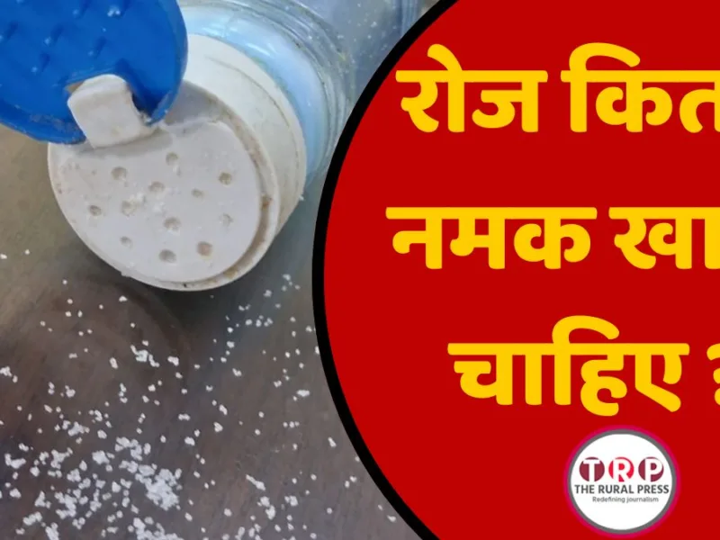 प्लेट में रखे प्राकृतिक भोजन के साथ नमक का सीमित प्रयोग और स्वास्थ्य देखभाल