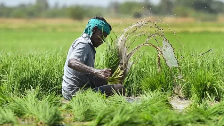 हरी-भरी धान की फसल के खेत में खड़ा मुस्कुराता हुआ भारतीय किसान और उसके हाथ में स्मार्टफोन