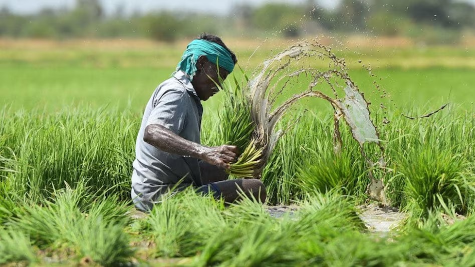 PM Fasal Bima Yojana: 31 जुलाई तक करा सकते हैं फसल बीमा, जानें कितना देना होगा प्रीमियम