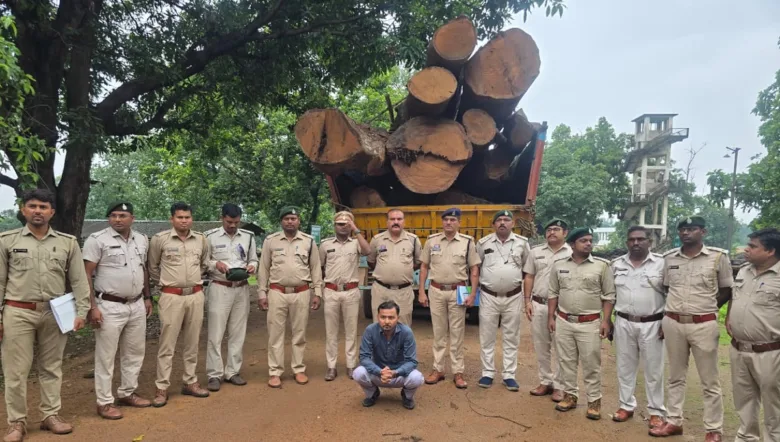 कोरबा वन मंडल और पुलिस द्वारा बरामद की गई अवैध साल लकड़ी और जब्त वाहन