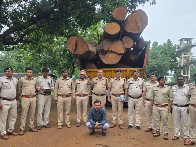 Korba Forest Division: कोरबा वन मंडल की बड़ी कार्रवाई: 20 घनमीटर अवैध साल लकड़ी बरामद, मुख्य आरोपी गिरफ्तार
