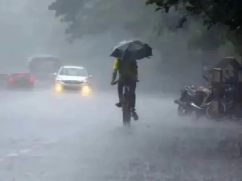Chhattisgarh Rainfall Update: मध्य छत्तीसगढ़ में झमाझम तो बस्तर में कम बरसे बादल, सारंगढ़-बिलाईगढ़ में रिकॉर्ड बारिश