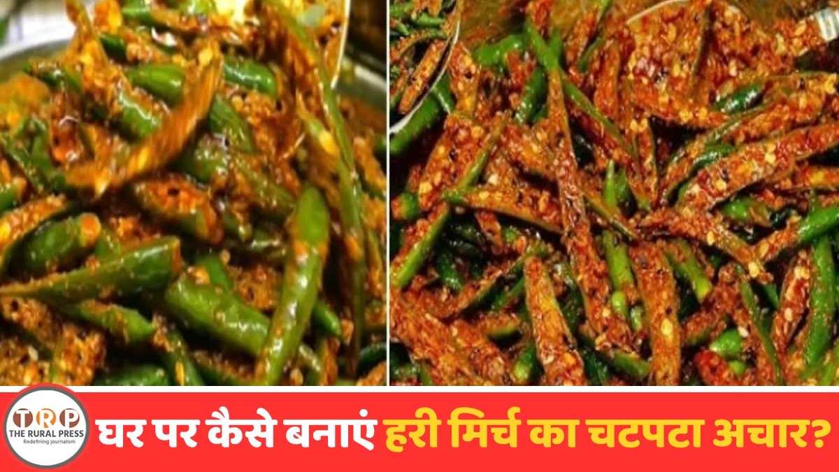 Homemade spicy Rajasthani green chili pickle recipe.