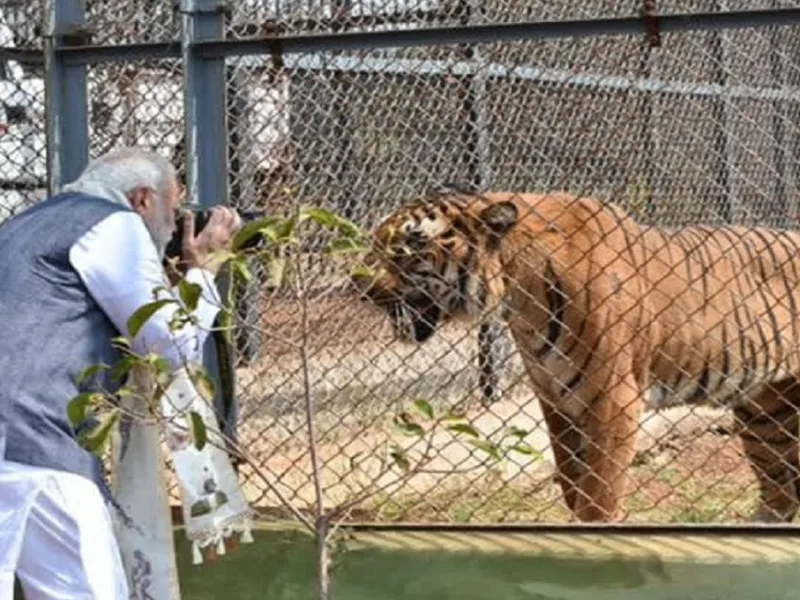 1 नवंबर 2016 को राज्य के 16वें स्थापना दिवस पर प्रधानमंत्री नरेंद्र मोदी ने इसका आधिकारिक उद्घाटन किया था।