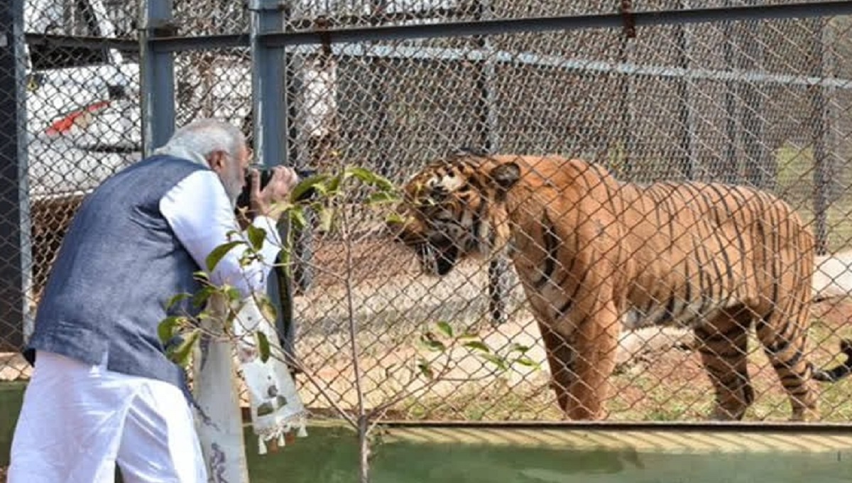 Jungle Safari Nawa Raipur: 320.15 हेक्टेयर में फैला नंदनवन जंगल सफारी बना पर्यटकों की पहली पसंद