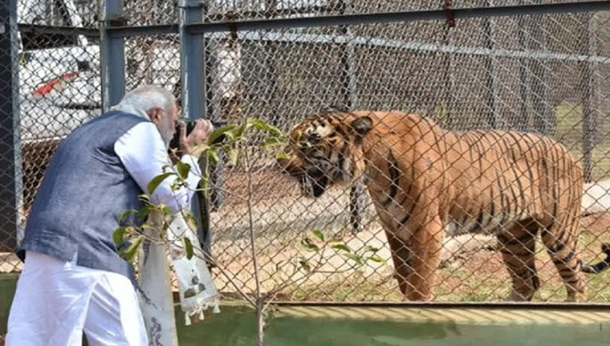 1 नवंबर 2016 को राज्य के 16वें स्थापना दिवस पर प्रधानमंत्री नरेंद्र मोदी ने इसका आधिकारिक उद्घाटन किया था।