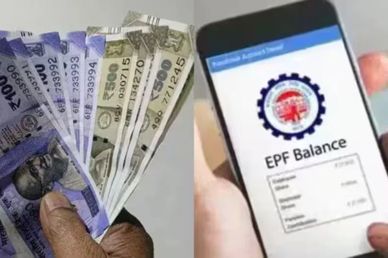 निष्क्रिय ईपीएफ खातों के झंझट से राहत : नए डिजिटल पोर्टल से पुराना पीएफ बैलेंस ट्रैक और ट्रांसफर करना हुआ आसान