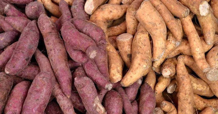 include 'Yam' in your diet