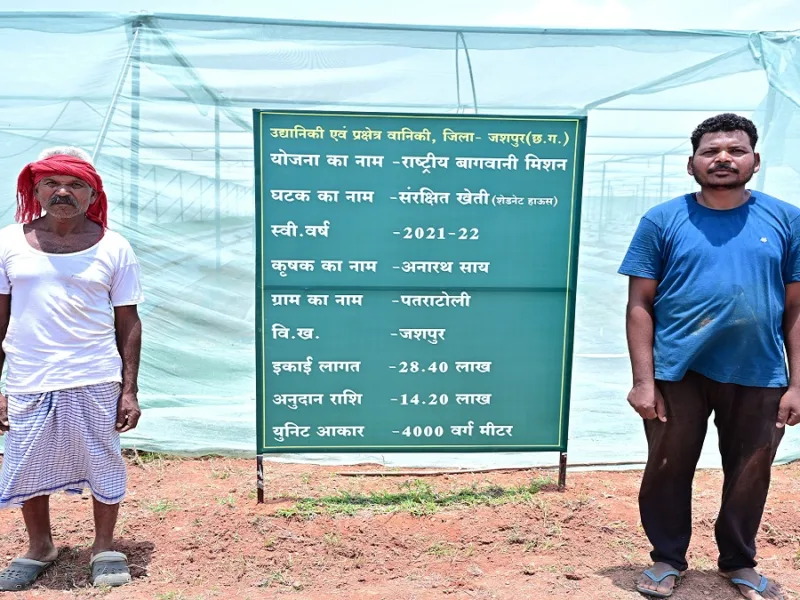 Jashpur farmer Anarth Sai practicing protected farming and horticulture