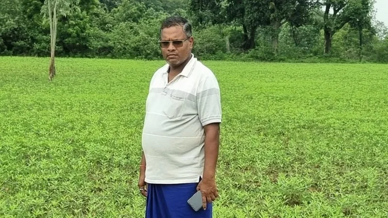 Farmer inspecting sunhemp seed crop in agricultural field in Chhattisgarh