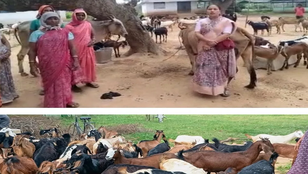 बकरी पालन से रखी सफलता की नींव
