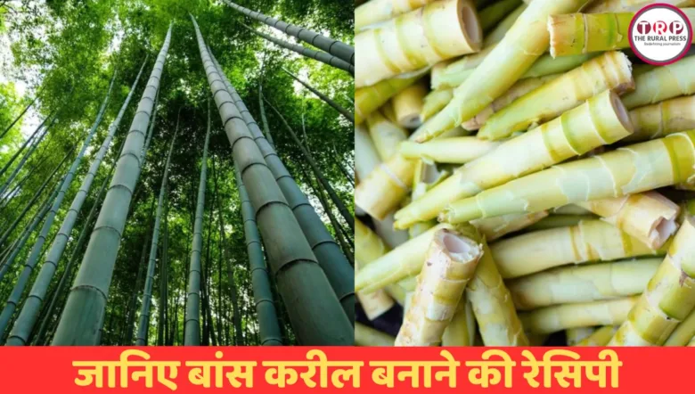 बस्तर के बाजारों में बिकने वाला स्वादिष्ट बास्ता (बांस करील) और इसकी पारंपरिक सब्जी।