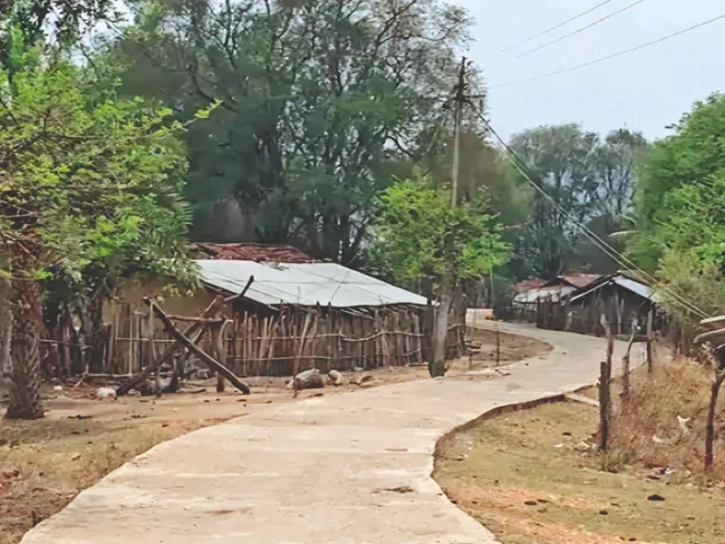 क्लस्टर मॉडल कैसे बदलेगा बस्तर के गांवों की तस्वीर?