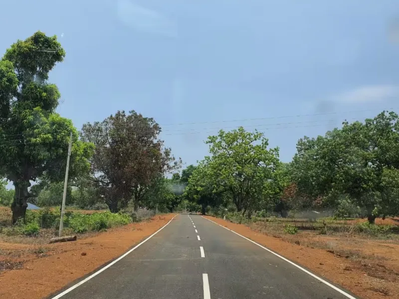 Bastar Development: CAMPA मद से बदलेगी बस्तर की तस्वीर, नक्सल प्रभावित गांवों में बनेंगी सड़कें और पुल