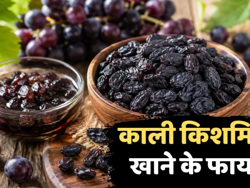 Black Raisins: रोज सुबह काली किशमिश खाने से मिल सकते हैं ये फायदे