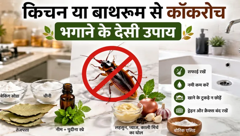 Easy home remedies and solutions to get rid of cockroaches at home