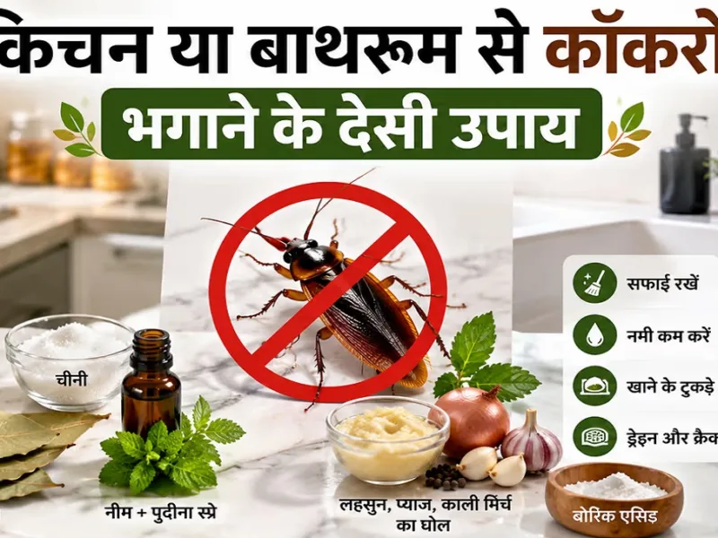 Easy home remedies and solutions to get rid of cockroaches at home