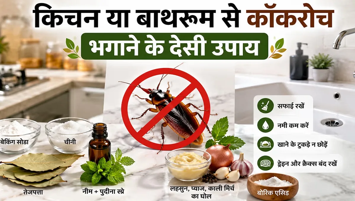 Easy home remedies and solutions to get rid of cockroaches at home