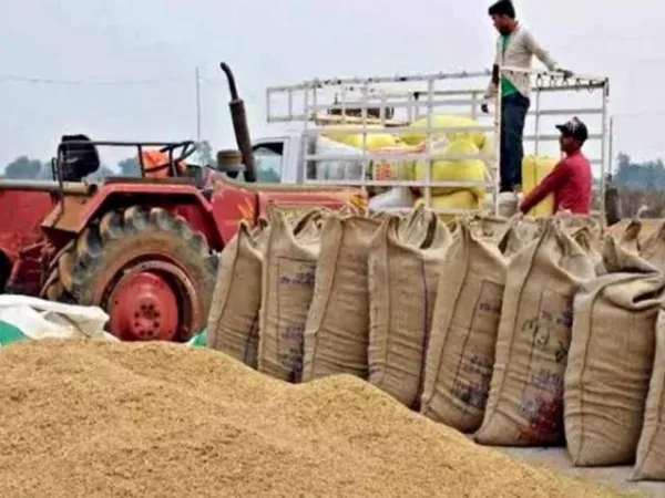 Chhattisgarh में धान बेचने वाले किसानों के लिए जरूरी खबर, अब इस पोर्टल पर पंजीयन के बिना नहीं मिलेगा MSP का लाभ
