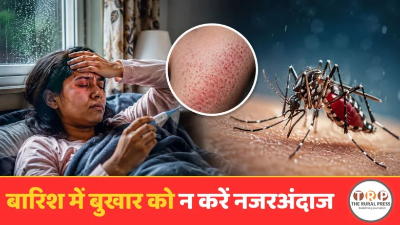 Dengue fever symptoms and monsoon mosquito prevention awareness graphic