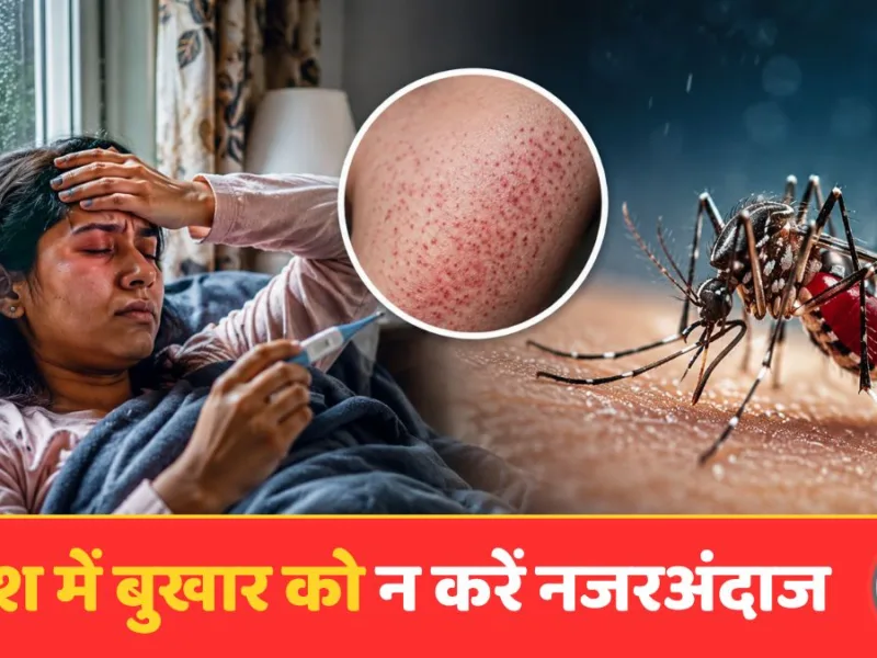 Dengue fever symptoms and monsoon mosquito prevention awareness graphic