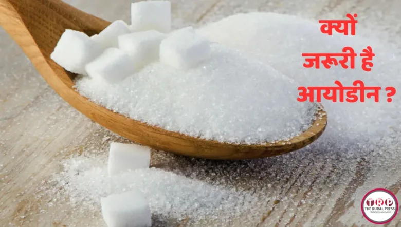 Iodine Deficiency Symptoms Thyroid Health Care Natural Food Items