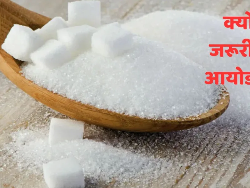 Health Tips: शरीर में क्यों जरूरी है आयोडीन? कमी होने पर दिखते हैं ये 5 बड़े लक्षण