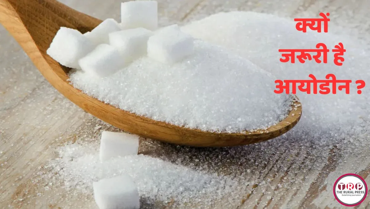 Iodine Deficiency Symptoms Thyroid Health Care Natural Food Items