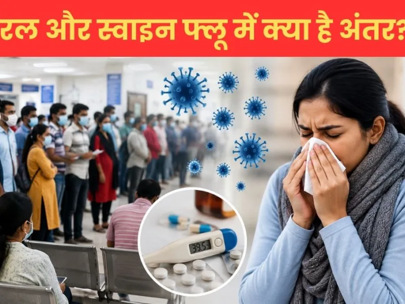 Health Tips: छत्तीसगढ़ में बढ़ रहे फ्लू के मामले, जानें वायरल और स्वाइन फ्लू में क्या है अंतर?