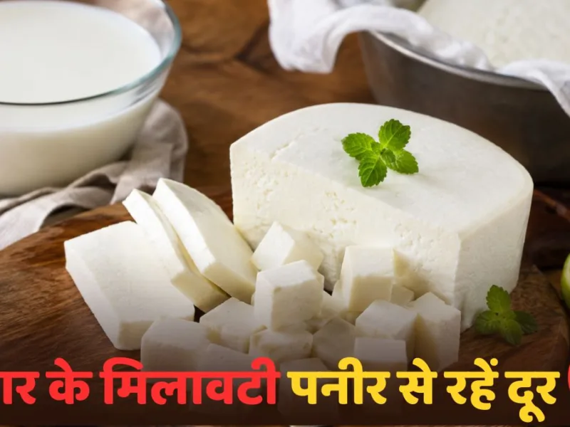 Homemade Paneer: बाजार के मिलावटी पनीर से रहें दूर, जानिए घर पर शुद्ध और मुलायम पनीर बनाने का आसान तरीका