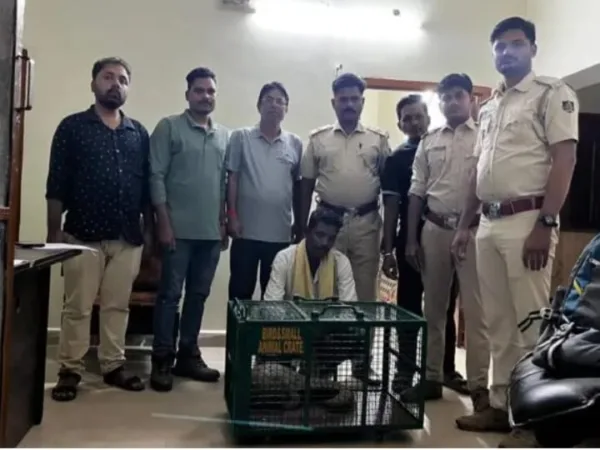 Smuggling of rare wildlife: सरकारी भवन में कैद था दुर्लभ जीव! गरियाबंद-ओडिशा बॉर्डर छापेमारी कर किया बरामद