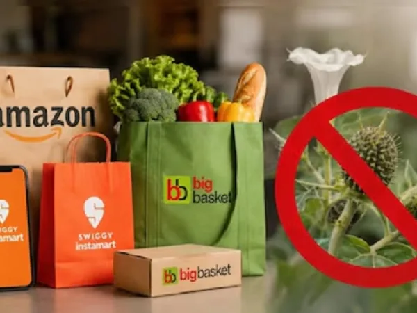 ऑनलाइन बिक रहा था जहरीला धतूरा, Amazon, Instamart और BigBasket के लाइसेंस सस्पेंड