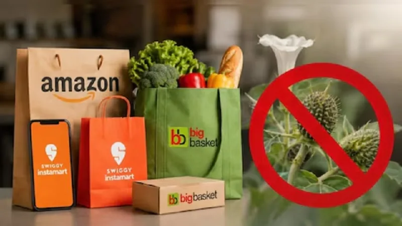 Karnataka Food Safety Department action against Amazon Instamart BigBasket over online Datura sale
