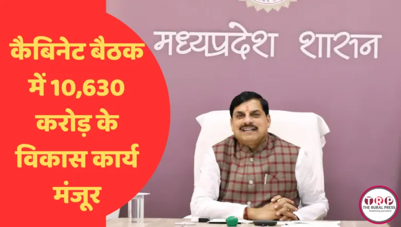 मध्यप्रदेश कैबिनेट बैठक की अध्यक्षता करते मुख्यमंत्री डॉ मोहन यादव