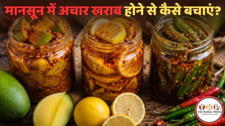 Glass jar of homemade mango pickle stored safely during monsoon season.