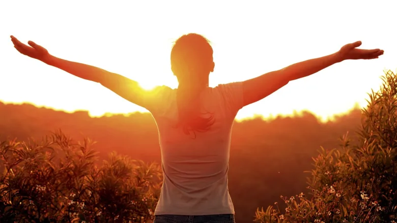 Morning sunlight and evening light effects on circadian rhythm and sleep cycle