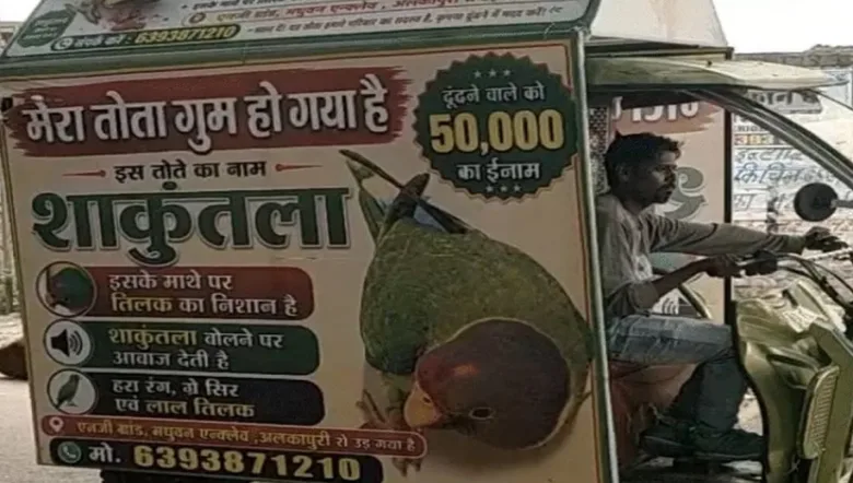 ग्वालियर के अलकापुरी में एक् परिवार ने मिट्ठू को सुरक्षित वापस लाने वाले को 50,000 रुपये का इनाम देने का एलान किया है।