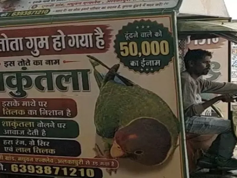 ग्वालियर के अलकापुरी में एक् परिवार ने मिट्ठू को सुरक्षित वापस लाने वाले को 50,000 रुपये का इनाम देने का एलान किया है।